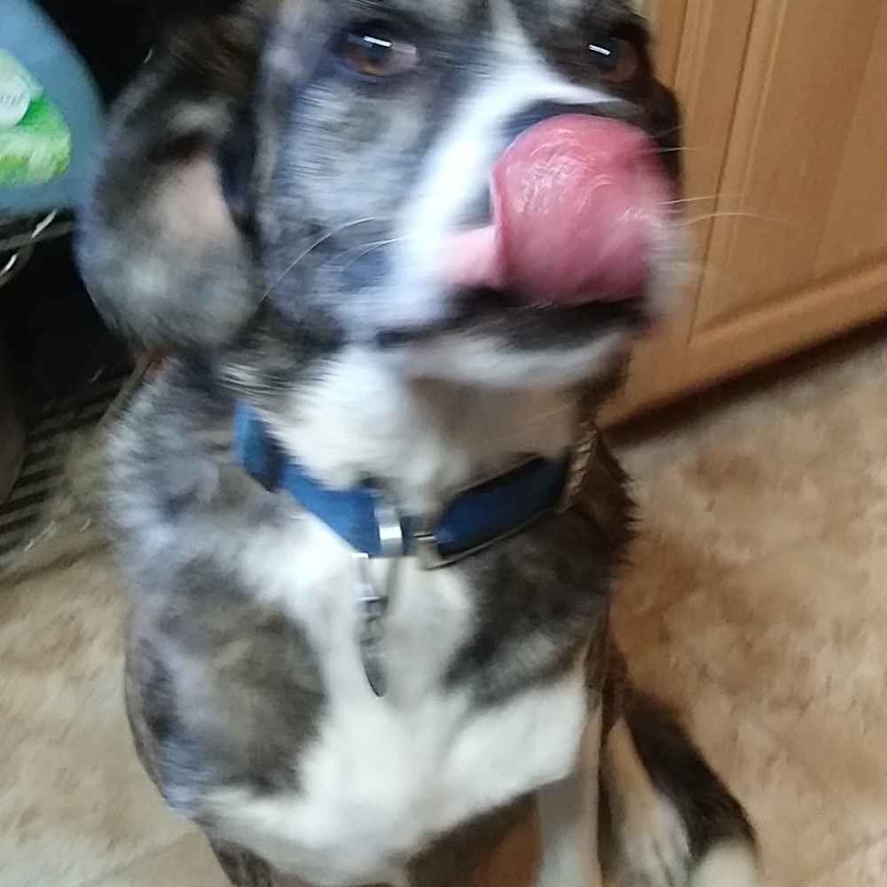 Meet your Posher, Jim